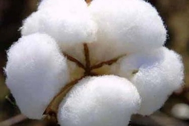 Одежда резко подорожает