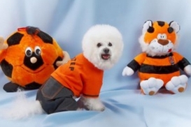 "Шахтер" оденет в оранжево-черную форму даже собак