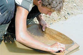В Чехии пройдет чемпионат по намывке золота