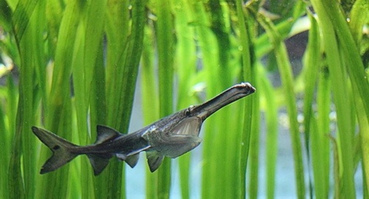 В Украине вырастут штрафы за незаконную ловлю рыбы