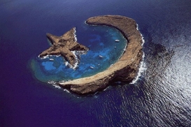 Российские сенаторы будут рекомендовать россиянам не ездить в Турцию