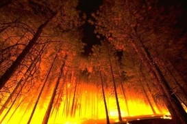 Над Украиной нависла угроза пожаров