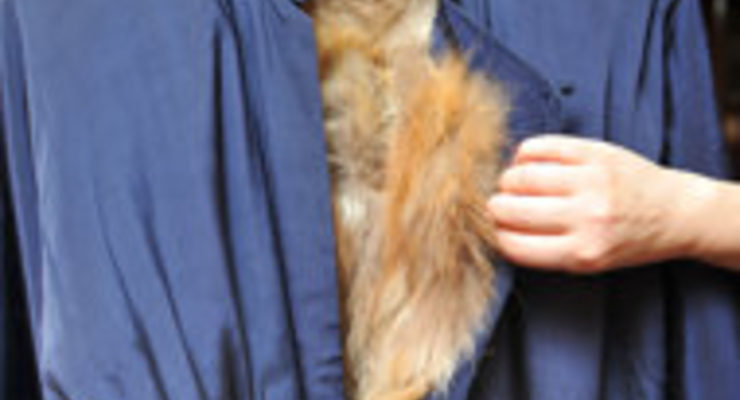 За пальто с плеча Брюса Ли заплатили $77 тысяч