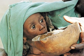 12 млн африканцев грозит голодная смерть, - эксперты