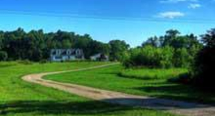 Чернобыльские земли вернут в сельское хозяйство