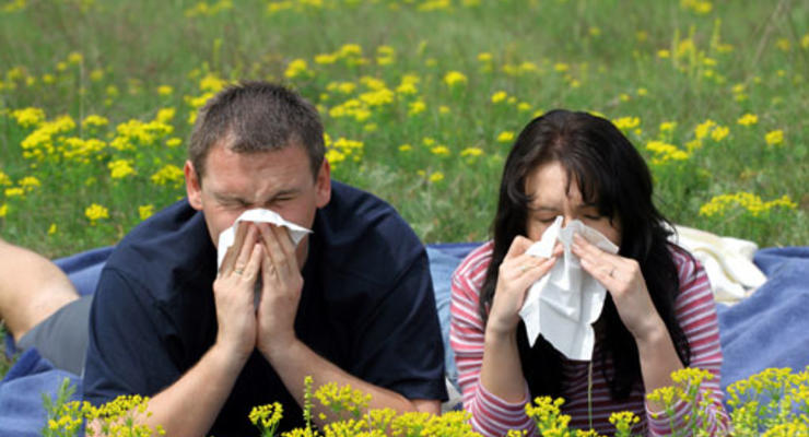 Бизнесмен-аллергик обещает вознаграждение за уничтоженную амброзию