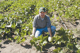 Стать фермером стало проще