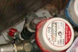 Янукович приказал Близнюку поспешить со счетчиками