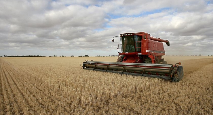 За уничтоженные ливнями посевы аграриям никто не заплатит