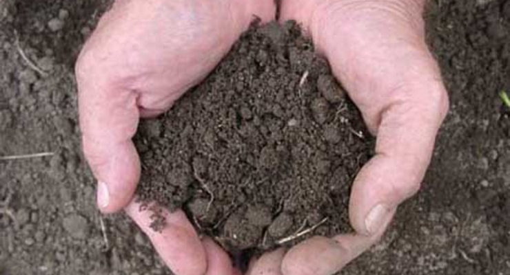 148 тысяч га земли в Крыму пустует