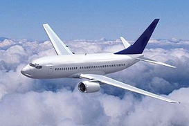 В Конго разбился самолет