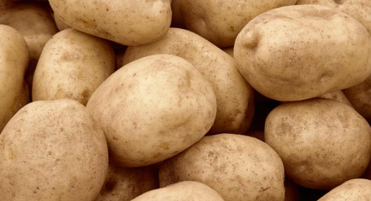 Украинцам придется покупать картофель втридорога