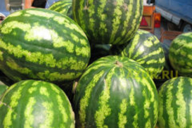 Украинцев ожидают дешевые грибы, дыни и арбузы
