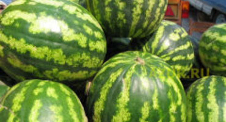 Украинцев ожидают дешевые грибы, дыни и арбузы
