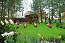 Названы самые дорогие особняки в Конча-Заспе