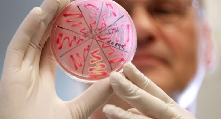Бактерию E.coli нашли в чешской воде