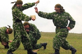 Украинская армия перейдет на контракт к 2015 году