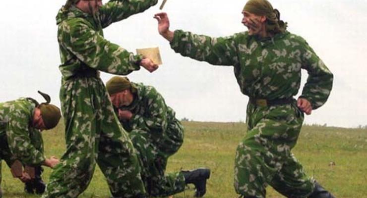 Украинская армия перейдет на контракт к 2015 году