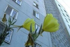 В Киеве начнут закрывать ЖЭКи