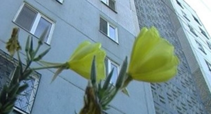 В Киеве начнут закрывать ЖЭКи