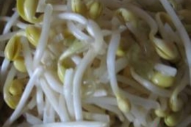 Назван достоверный источник кишечной инфекции E.coli