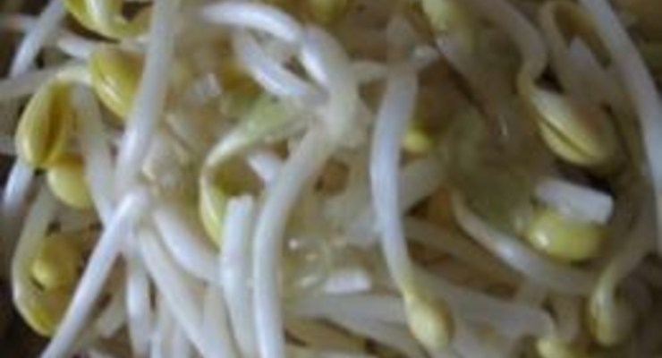 Назван достоверный источник кишечной инфекции E.coli