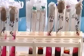 Предприниматели восстали против поборов в СЭС