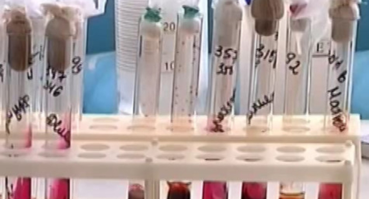 Предприниматели восстали против поборов в СЭС