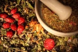 Янукович разрешил заниматься народной медициной