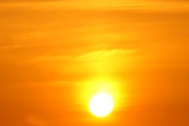 Ученые: В будущем экстремальная жара станет нормой