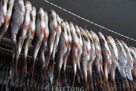 Назван источник холеры в Мариуполе