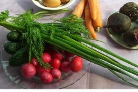 Россия запретила ввоз всех овощей из ЕС