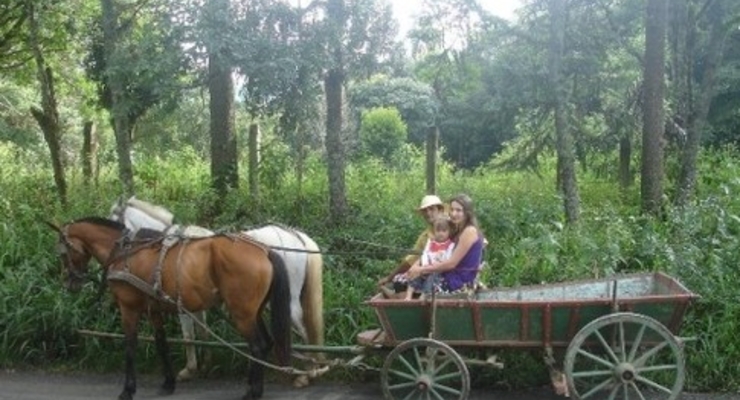 Украинские селяне не хотят выращивать продукцию на продажу (опрос)