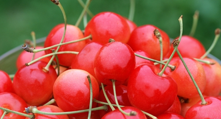 В Киеве черешню продают по 140 грн/кг