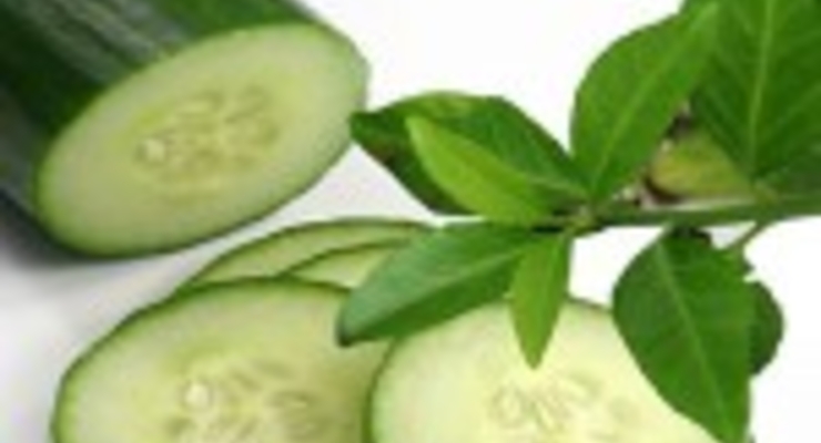 Испанские огурцы реабилитировали