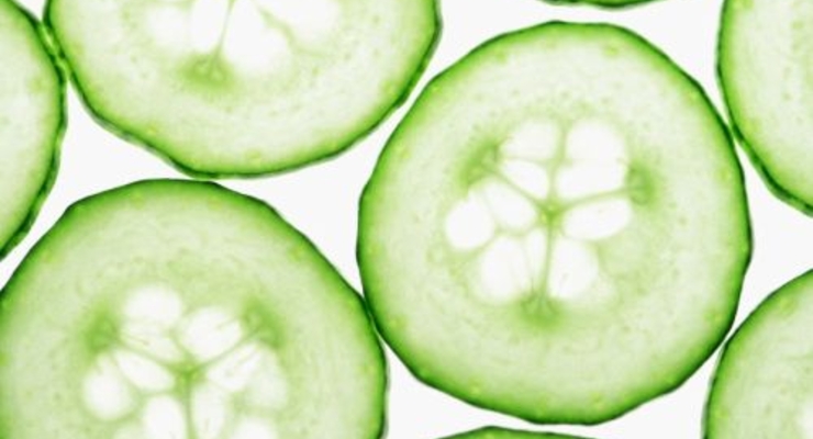 В Германии растет число жертв неизвестной инфекции