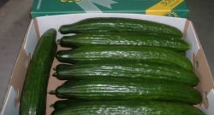 Испанские огурцы под запретом в Европе из-за массовых отравлений