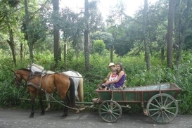 Украинских селян больше всего волнует рост цен (опрос)