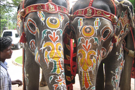 Скоро в Индию можно будет ездить без визы