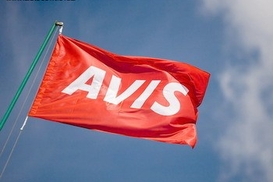 Avis-Украина планирует увеличить доходы на 7%