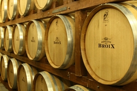 Украинский коньяк обойдется без дубовых бочек