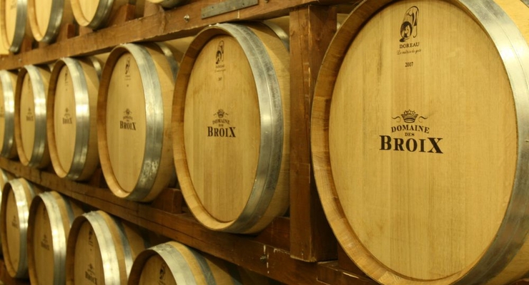 Украинский коньяк обойдется без дубовых бочек