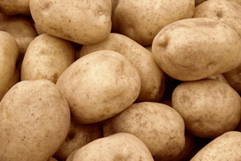 Азаров хочет выращивать больше картофеля