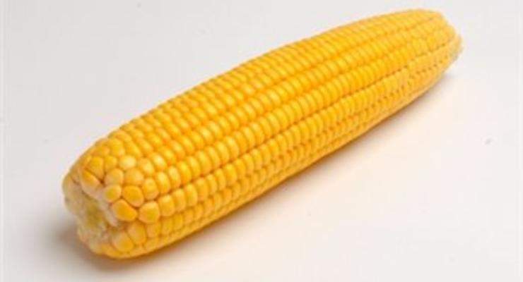 Кабмин отменил квоты на экспорт кукурузы