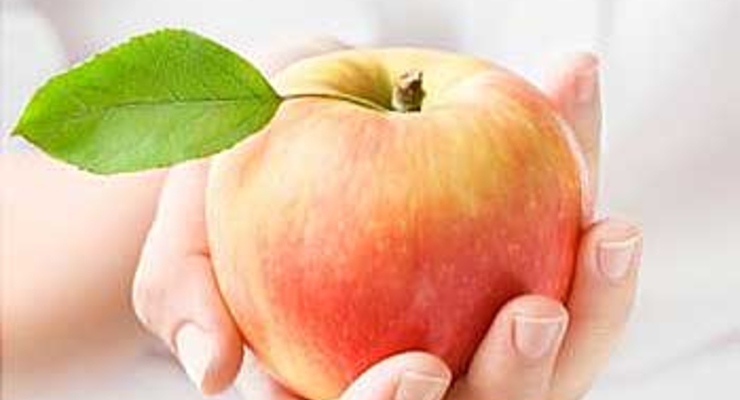 Из-за дороговизны яблок украинцы переходят на бананы и цитрусовые