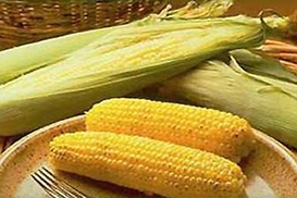 Азаров: Украина может отменить квоты на кукурузу