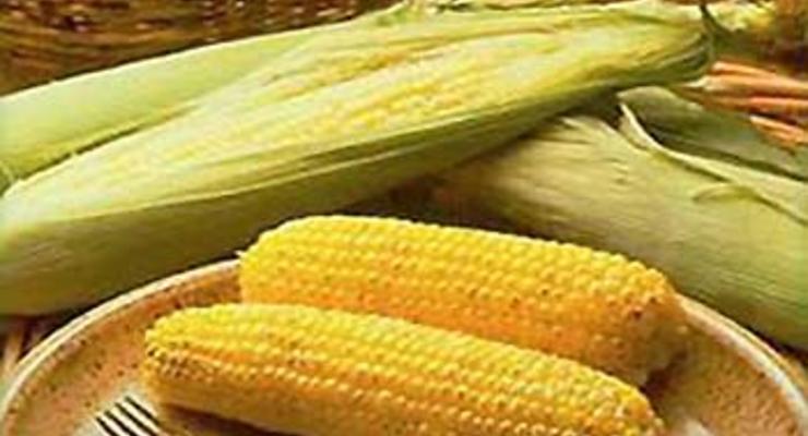 Азаров: Украина может отменить квоты на кукурузу