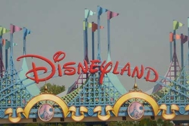 В парижском Диснейленде произошел несчастный случай