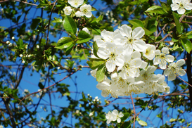 Погода продолжит улучшаться в Украине