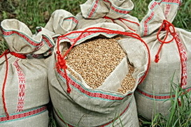 Украина создаст зерновой пул с Россией и Казахстаном